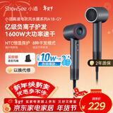 小适（showsee）11万转高速电吹风机家用风筒高浓度负离子护发大风力速干降噪无刷电吹风送家人年会礼物A18-GY 
