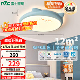 雷士（NVC）LED照明吸顶灯儿童氛围卧室灯创意可爱卡通简约-龙猫蓝色