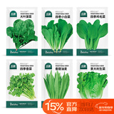北蔬 蔬菜种子种苗大全生菜香菜菠菜春季阳台菜籽 6种叶菜类蔬菜种子