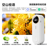 智能自动定时香薰机喷香机精油扩香机香氛机香水家用厕所卫生间掩味酒店企业男生女生年会礼物采购 香薰机+空山桂语