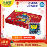 怡颗莓Driscoll's云南蓝莓14mm+ 6盒装 约125g/盒  水果年货礼盒