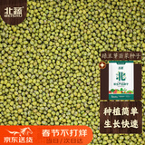 北蔬 绿豆种子芽苗菜豆子种水培土盆栽蔬菜种籽 绿豆芽苗菜种子500g