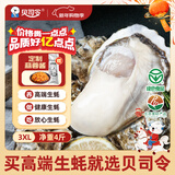 贝司令 鲜活乳山生态生蚝3XL 净重4斤 10-15只 生鲜源头直发年货送礼