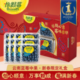 怡颗莓【送礼优选】云南花香蓝莓 当季新鲜蓝莓  高端水果年货礼盒送礼 【新春礼盒】中果125g*12盒（14mm+）