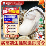贝司令 鲜活乳山生态生蚝3XL 净重9斤 23-32只 生鲜源头直发年货送礼