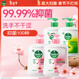 滴露（Dettol）洗手液抑菌杀菌消毒 滋润450g*2+松木450g*2儿童家庭补充装温和