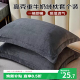 艾薇 牛奶绒枕套法兰绒学生宿舍枕头套一个 R绒深黑 48*74cm