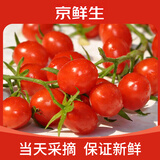 京鲜生电白千禧冰糖小番茄1.8斤单果4g+ 小糖豆新鲜水果蔬菜 源头直发