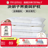 罗莱家纺 枕头枕芯脊椎枕 100%全棉决明子荞麦花草护颈枕 46*72