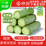 京觅陶山甘蔗 无节短款装(5-8厘米）4.8斤 水果新鲜甘蔗 源头直发