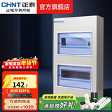 正泰（CHNT）家用配电箱PZ30暗装强电箱 空开箱铁箱厚布线箱  照明箱 20回路