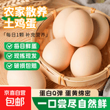 山林新鲜鸡蛋鲜鸡蛋当日现捡七鲜小厨生鲜买菜单枚40g-45g 当日现捡土鸡蛋20枚