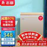 志高（CHIGO）小冰柜家用冷冻小型一级节能省电迷你卧式冷藏保鲜储母乳冷柜 【一级能效 全国联保】 58L 金微霜款