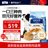 伯纳天纯三拼冻干牛肉粒肉松犬粮20kg/40斤