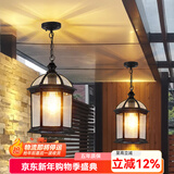 凯优美（KAIYOUMEI）户外中式别墅吊灯室外过道吸顶灯走廊凉亭阳台露台玄关庭院吊链灯 8寸/黑色/吊链款【28W三色】