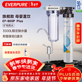 爱惠浦（Everpure） 家用矿物质厨下净水器 大流量0废水直饮 1.8L/分钟3500L处理量 EF-900P Plus