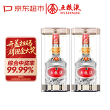 五粮液 22-25年 39度 浓香型白酒 500ml*2 双瓶(含礼袋) 年份随机