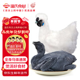 温氏 供港白凤乌鸡2.4斤 冷冻月子餐月子鸡汤材料 慢养110天以上