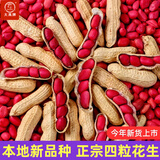 大禹花生种子原种新品种红皮产高农科院黑花生种籽批发四粒山东本地 四粒红皮花生种子5斤【带壳】