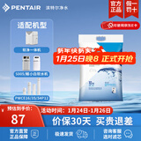 滨特尔（pentair） 滨润软水机高纯度高效通用软水盐离子交换树脂再生剂 1袋盐10kg