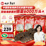 晓芹大连冷冻即食海参300g 7-10只 辽刺参 海鲜水产 年货