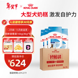皇家狗粮 幼犬狗粮 幼犬奶糕宠物大型犬MAJ30全价犬粮2-15月4KG*4