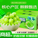 春福乐 玉菇甜瓜【源头直发】新鲜水果应季蜜瓜香瓜冰淇淋脆甜 5斤严选装【精选2-3个】净重4.5斤