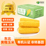 农科玉东北有机黄糯玉米3.68斤230g*8根杂粮东北黏苞米棒粗粮早代餐零食