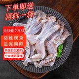 田源程冷冻四去免浆牛蛙净重1000g海鲜水产烧烤牛蛙7-9只包邮源头直发