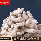 边胜珊瑚骨滤材优质珊瑚砂鱼缸过滤材料菲律宾珊瑚沙提高PH滤材海水 珊瑚骨1斤+网袋