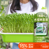 北蔬 水培蔬菜豌豆种子芽苗菜育苗盘种植盒套装 加深盘水培豌豆苗套餐