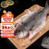 三都港清蒸海鲈鱼花鲈子鱼卢鱼新鲜海鲜冷冻水产生鲜鱼类年货烹饪食材鱼 清蒸海鲈鱼500g（含调味料包）