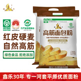 鑫乐【内蒙古产地】高筋面包粉5斤*2红小麦蛋白质14.1g源头直发包邮
