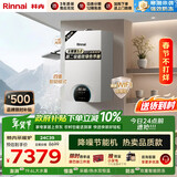 林内（Rinnai）燃气壁挂炉 供暖热水器两用【超二级能效】生活热水家用地暖采暖锅炉L1PB27-24C39 上门安装