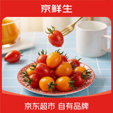 京鲜生辽宁黄金蜜+爆浆千禧双拼小番茄2.8斤单果5g+新鲜采摘 源头直发