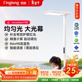 琪朗大路灯落地护眼学习台灯全光谱立式学习阅读护眼灯具 SunnyRead P100