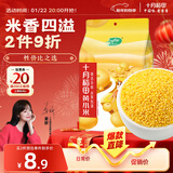 十月稻田 黄小米 2斤 五谷杂粮 低脂粗粮 早餐煮粥 正宗小米饭 米香浓郁
