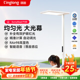 琪朗大路灯落地护眼学习台灯全光谱立式学习阅读护眼灯具 SunnyRead P100