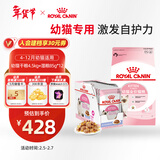 皇家幼猫 干湿搭配   K36 4.5KG+ KJP 85G*12