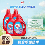 雕牌除菌馨香洗衣液2.5kg*4瓶  薰衣草香 除菌99.9%不含磷