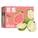 京鲜生 白心奶油芭乐 番石榴 轻微红点 净重3斤 单果150g+ 水果礼盒