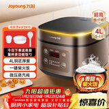 九阳（Joyoung）30分钟快煮饭大火力柴火饭4升家庭容量3~4人电饭煲电饭锅多功能微压焖煮方煲F-40FZ815