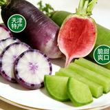 鲜得手正宗【天津沙窝萝卜】天星2号青萝卜 冰淇淋冰激凌脆甜水汽大礼盒 【三种萝卜混装】约9斤数量各随机发 味不一样都尝尝