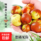 【现货】应季山东沾化冬枣脆甜冬枣新鲜水果鲜枣大枣脆枣 净重2.8斤中果(单果12-16克)