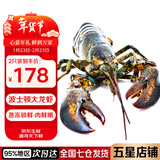 鲟食 波士顿龙虾冰鲜冷冻大波龙澳龙大龙虾生鲜虾类节日送礼 波士顿龙虾【生冻】 2300-2500g/只