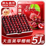 松筱车厘子樱桃【顺丰/JD-多地次日达】大连美早大樱桃新鲜水果送礼物 3斤(净重) 果王3J级30-32mm