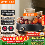 苏泊尔（SUPOR）迷你电陶炉 煮茶器煮茶炉煮茶壶 养生围炉煮茶泡茶办公家用不挑器具SW-DTL05