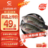 GUO LIAN国联水产 三去罗非鱼净重4条/4斤非洲鲫鱼去鳞去鳃去内脏