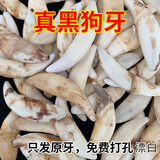 真品大黑狗牙吊坠护身符成人狗牙手链脚链狗牙齿项链童挂饰品情侣 热卖款4.7-5.0厘米（送红绳打单孔）招财z运 漂白（尺寸越长 狗龄越大 效果越好）