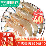 哆鲜生 活冻海捕大明虾 野外生长南海自主捕捞对虾海白虾黄虾虾类生鲜 加大号 10-12条/盒 400g(净重)